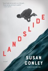 Landslide: A Novel hind ja info | Fantaasia, müstika | kaup24.ee