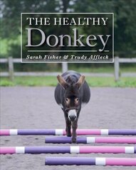 Healthy Donkey цена и информация | Книги о питании и здоровом образе жизни | kaup24.ee