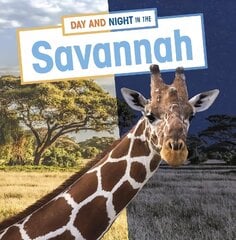 Day and Night in the Savannah цена и информация | Книги для подростков и молодежи | kaup24.ee