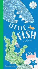 Little Fish: A Carousel Book цена и информация | Книги для малышей | kaup24.ee