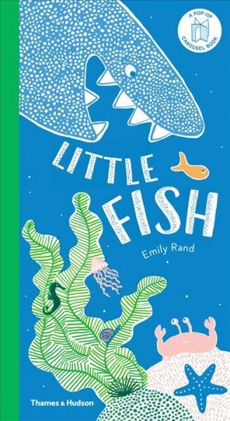 Little Fish: A Carousel Book hind ja info | Väikelaste raamatud | kaup24.ee