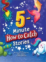 5-Minute How to Catch Stories hind ja info | Noortekirjandus | kaup24.ee