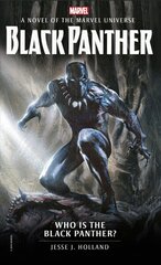 Who is the Black Panther? цена и информация | Фантастика, фэнтези | kaup24.ee