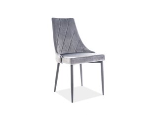 Комплект из 4 стульев Signal Meble Trix B, серый цена и информация | Стулья для кухни и столовой | kaup24.ee