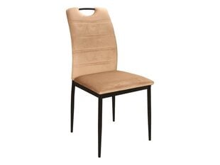 Комплект из 4-х стульев Signal Meble Rip, бежевый цена и информация | Стулья для кухни и столовой | kaup24.ee