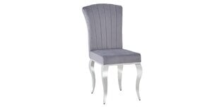 6-tooli komplekt Signal Meble Prince, hall hind ja info | Söögilaua toolid, köögitoolid | kaup24.ee