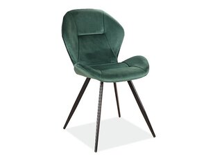 Комплект из 4 стульев Signal Meble Ginger Velvet, зеленый цена и информация | Стулья для кухни и столовой | kaup24.ee