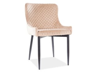 4-tooli komplekt Signal Meble Colin, beeži värvi hind ja info | Söögilaua toolid, köögitoolid | kaup24.ee