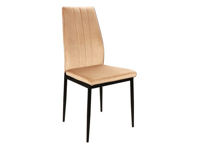 4-tooli komplekt Signal Meble Atom, beeži värvi hind ja info | Söögitoolid, baaritoolid | kaup24.ee