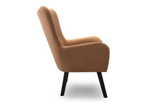 Кресло цена и информация | Кресла в гостиную | kaup24.ee
