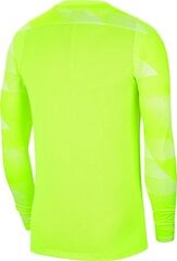 Nike Dry Park IV JSY LS GK JUNIOR väravavahi pluus CJ6072 702 цена и информация | Футбольная форма и другие товары | kaup24.ee