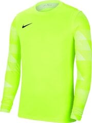 Nike Dry Park IV JSY LS GK JUNIOR väravavahi pluus CJ6072 702 hind ja info | Jalgpalli varustus ja riided | kaup24.ee