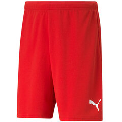 Meeste lühikesed püksid Puma teamRISE punane 704942 01 hind ja info | Jalgpalli varustus ja riided | kaup24.ee