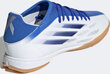 Puutsad Adidas X Speedflow.3 IN M GW7491 football boots GW7491*NA hind ja info | Jalgpallijalatsid | kaup24.ee