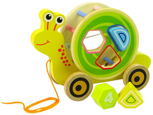 Puidust klotsidega sorteerija-tigu lastele Lean Toys цена и информация | Развивающие игрушки | kaup24.ee