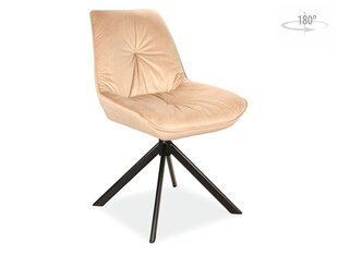2-tooli komplekt Signal Meble Boogie, beeži värvi hind ja info | Söögitoolid, baaritoolid | kaup24.ee