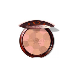 Päikesepuuder Guerlain Terracotta Light Glow Powder 01 Light Warm цена и информация | Пудры, базы под макияж | kaup24.ee