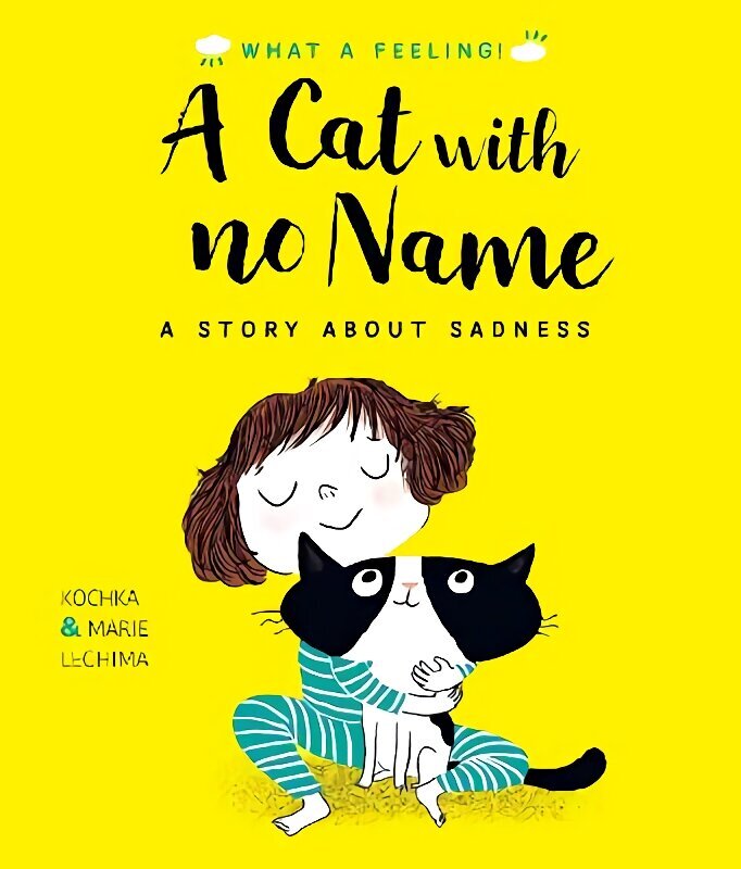 Cat With No Name: A Story About Sadness hind ja info | Väikelaste raamatud | kaup24.ee