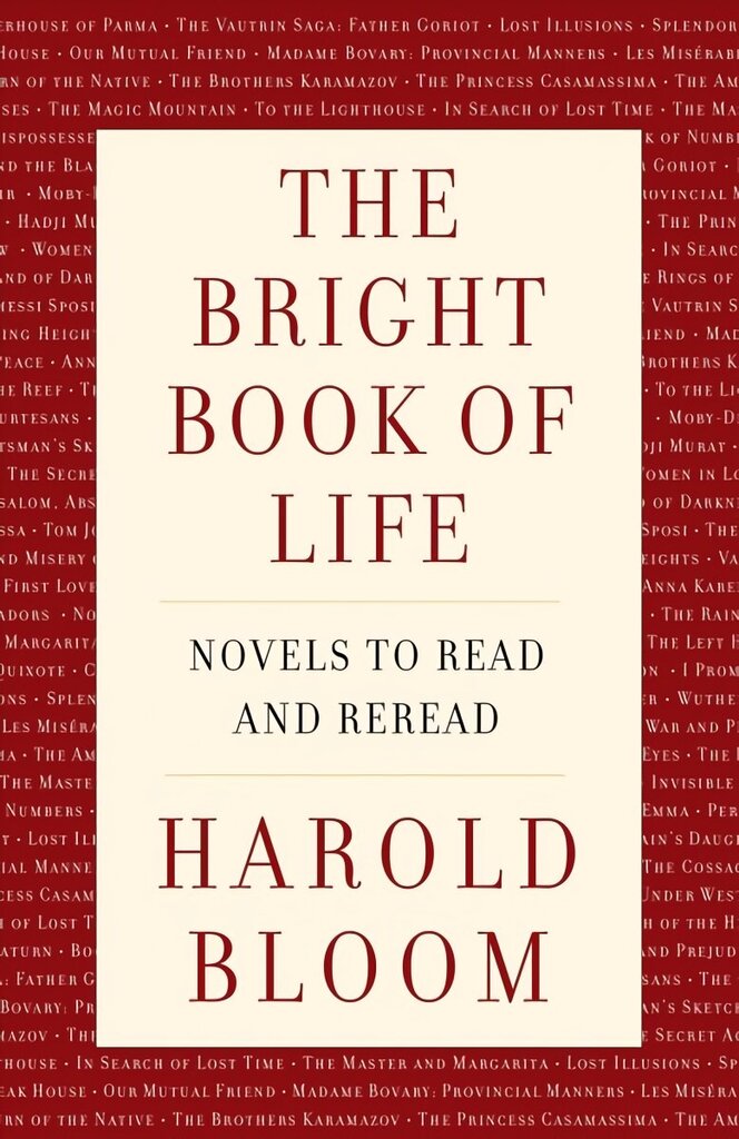 Bright Book of Life: Novels to Read and Reread цена и информация | Ajalooraamatud | kaup24.ee