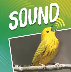 Sound цена и информация | Книги для подростков и молодежи | kaup24.ee