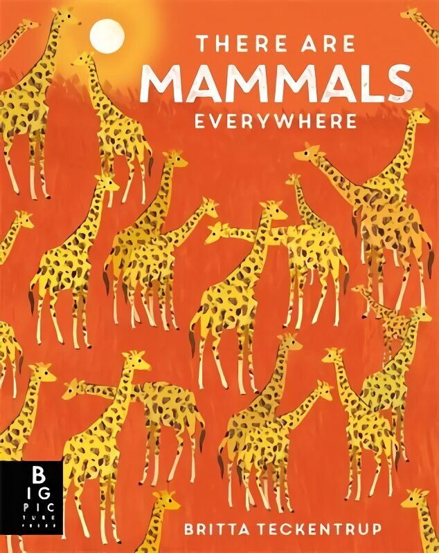 There are Mammals Everywhere цена и информация | Noortekirjandus | kaup24.ee