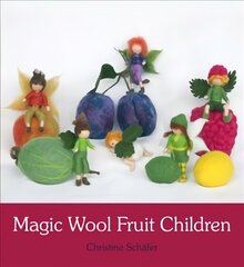 Magic Wool Fruit Children hind ja info | Tervislik eluviis ja toitumine | kaup24.ee