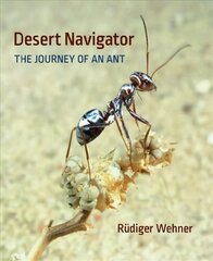 Desert Navigator: The Journey of an Ant hind ja info | Majandusalased raamatud | kaup24.ee