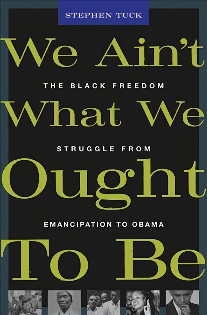 We Ain't What We Ought To Be: The Black Freedom Struggle from Emancipation to Obama цена и информация | Ajalooraamatud | kaup24.ee