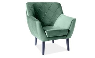 Кресло Signal Meble Kier, зеленое цена и информация | Кресла в гостиную | kaup24.ee