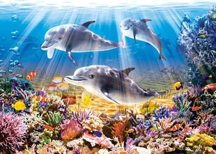 Пазл "Dolphins Underwater" Castorland, 500 шт цена и информация | Пазлы | kaup24.ee