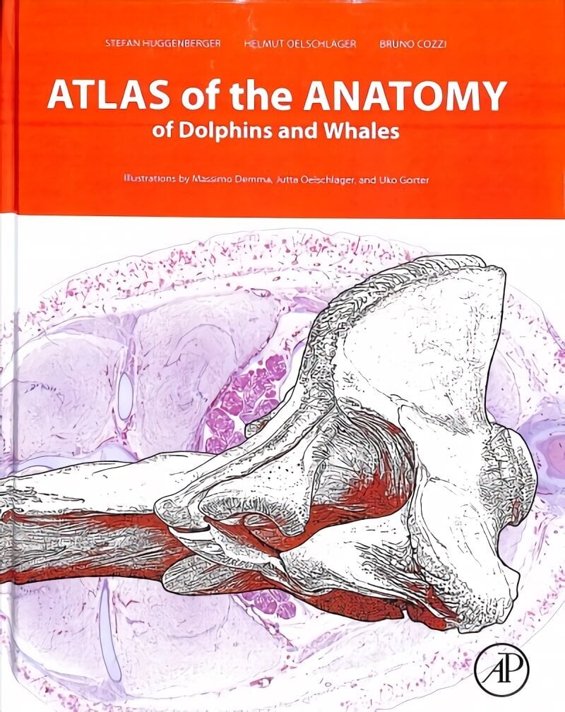 Atlas of the Anatomy of Dolphins and Whales цена и информация | Majandusalased raamatud | kaup24.ee