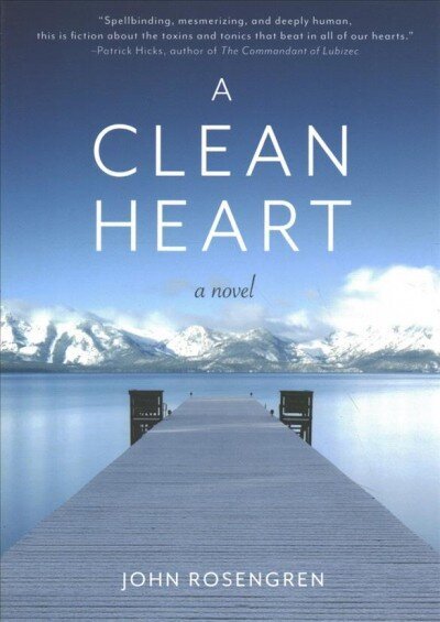 Clean Heart: A Novel (Alcoholism, Dysfunctional Family, Recovery, Redemption, 12-Steps) hind ja info | Fantaasia, müstika | kaup24.ee