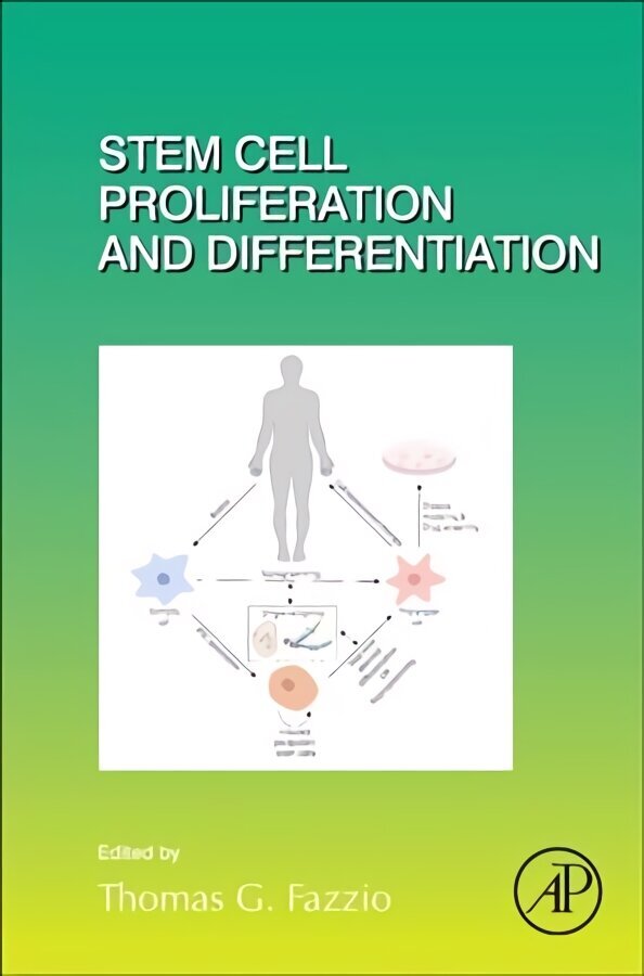 Stem Cell Proliferation and Differentiation, Volume 138 цена и информация | Majandusalased raamatud | kaup24.ee