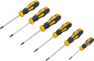 Kruvikeerajate komplekt BGS DIY 35826, TORX, 6 tk. hind ja info | Käsitööriistad | kaup24.ee