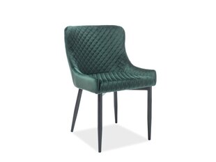 Комплект из 4 стульев Signal Meble Colin, зеленый цена и информация | Стулья для кухни и столовой | kaup24.ee