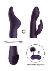 Набор для секс-товаров Switch Pleasure Kit #1, фиолетовый цена и информация | Наборы секс-товаров | kaup24.ee