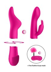 Seksi komplekt Switch Pleasure Kit #1, roosa hind ja info | Sekslelude komplektid | kaup24.ee