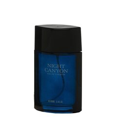 Tualettvesi Real Time Night Canyon EDT meestele 100 ml hind ja info | Meeste parfüümid | kaup24.ee