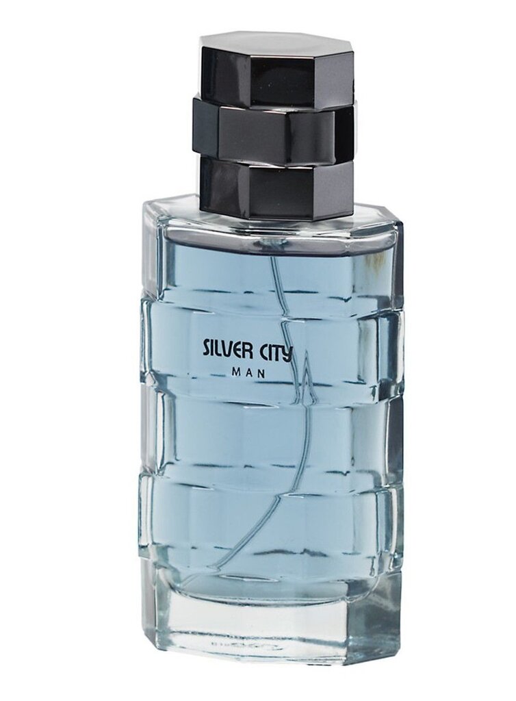 Tualettvesi Real Time Silver City EDT meestele 100 ml hind ja info | Meeste parfüümid | kaup24.ee