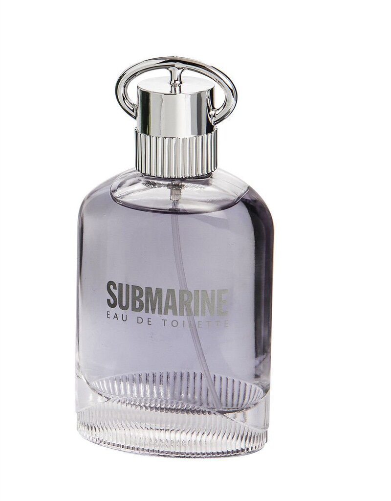 Tualettvesi Real Time Submarine EDT meestele 100 ml hind ja info | Meeste parfüümid | kaup24.ee