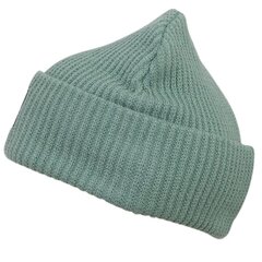 Шапка Cappa Hoppa 308075 16-5917, зеленая цена и информация | Мужские шарфы, шапки, перчатки | kaup24.ee
