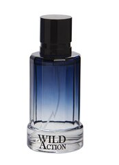 Real Time Wild Action EDT для мужчин 100 ml цена и информация | Мужские духи | kaup24.ee