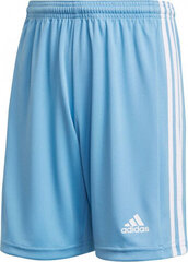 Adidas Squadra 21 Short Youth Jr GN6716 GN6716 hind ja info | Poiste lühikesed püksid | kaup24.ee