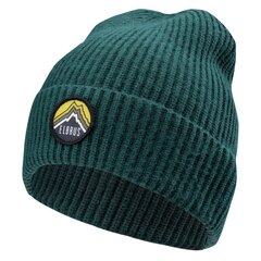 Müts Elbrus Quentin, roheline цена и информация | Мужские шарфы, шапки, перчатки | kaup24.ee