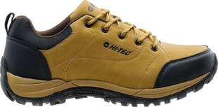 Обувь для мужчин Hi-Tec Canori Low, M, коричневый, 92800210784 цена и информация | Кроссовки для мужчин | kaup24.ee