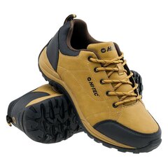 Обувь для мужчин Hi-Tec Canori Low, M, коричневый, 92800210784 цена и информация | Кроссовки для мужчин | kaup24.ee