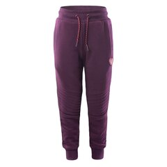 Spordipüksid tüdrukutele Bejo Tigos Pants Kdg Jr., lilla цена и информация | Штаны для девочек | kaup24.ee