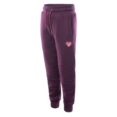 Спортивные брюки для девочек Bejo Tigos Брюки Kdg Jr., фиолетовые цена и информация | Штаны для девочек | kaup24.ee