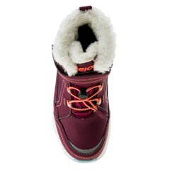 Зимние сапоги для детей Bejo Dibis Jr 92800 280 569 цена и информация | Детская спортивная обувь | kaup24.ee