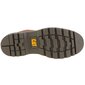 Talvesaapad meestele Caterpillar Colorado 2,0 M P110426, pruunid hind ja info | Meeste kingad, saapad | kaup24.ee
